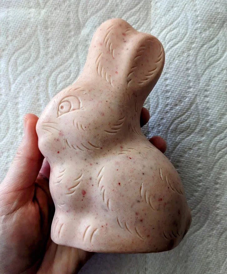Aldi Chocolate Easter Bunny Review • Snarkle-Sauce on Wry