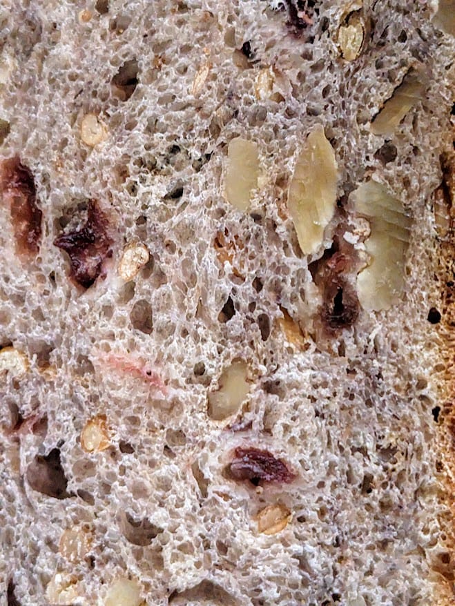 Detail of a slice of Cranberry Walnut rye Bread from the Costco Bakery.