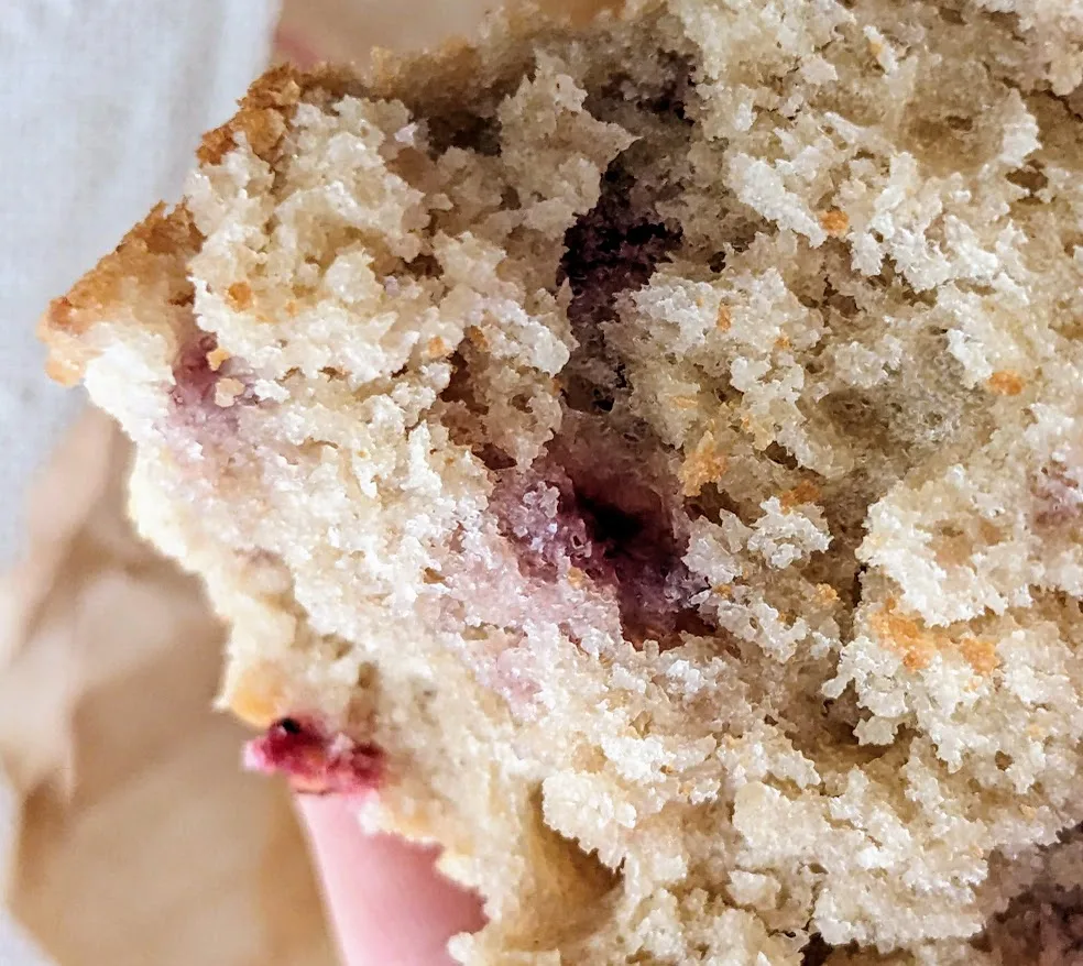 Costco Lemon Raspberry Muffins Review • Snarkle-Sauce on Wry