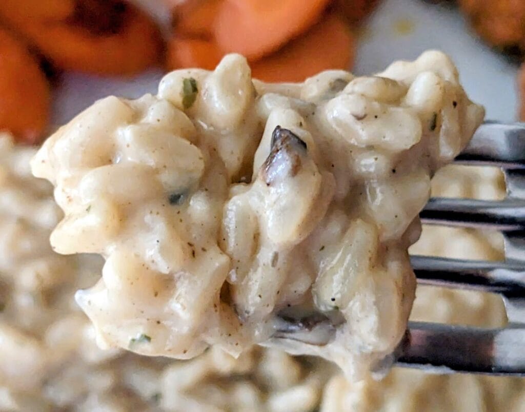 A forkful of Mushroom Risotto from Aldi.