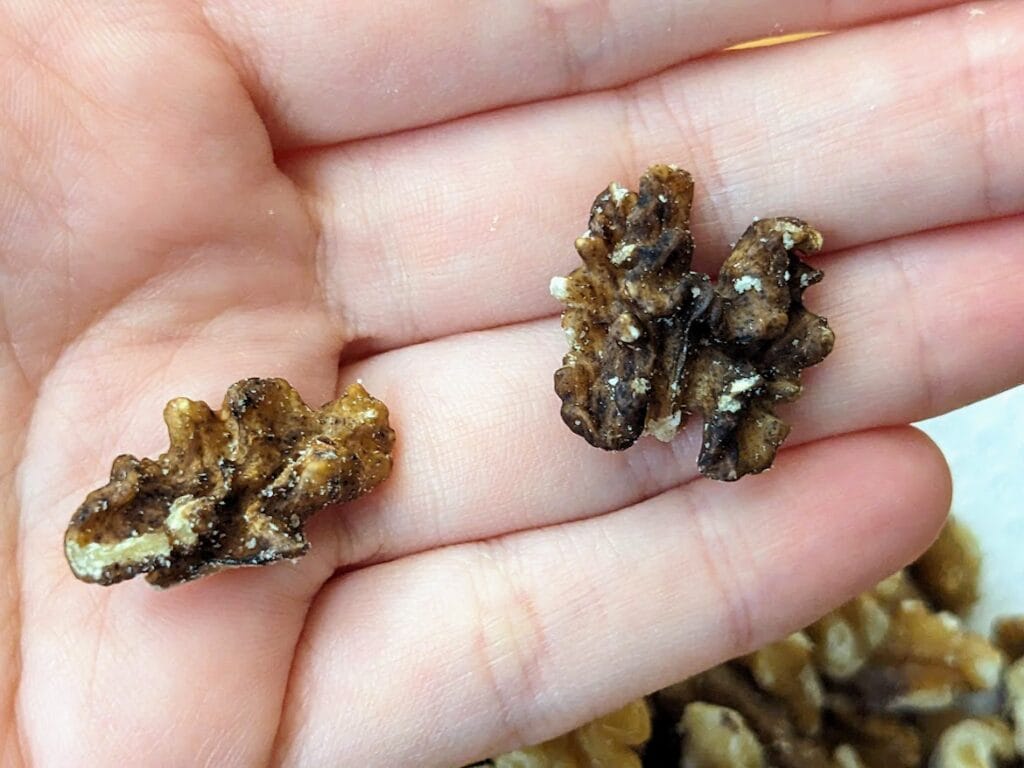 A hand holding two dark, shriveled walnuts from a Costco Kirkland bag.