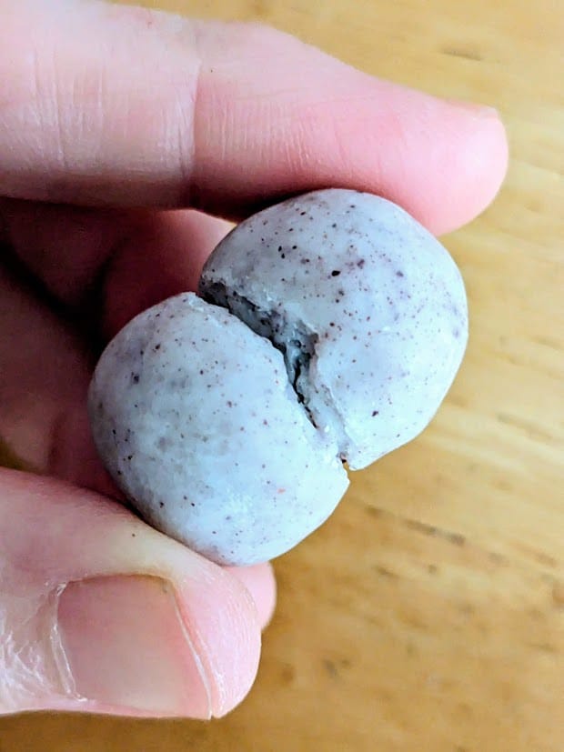 Fingers holding two conjoined yogurt-creme covered freeze dried berries from Sconza Confections.