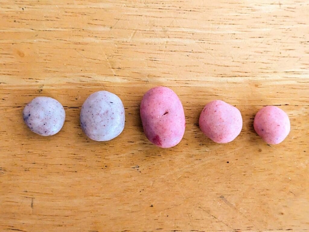 A row of yogurt covered blueberries, raspberries, and strawberries from Sconza Confections.