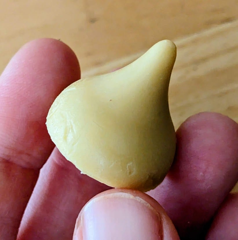 Fingers holding an unwrapped, whole Hershey's Butterbeer Kiss.
