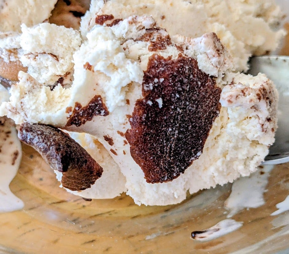 Ribbons of chocolate inside a scoop of Publix Buckeyes & Fudge Ice Cream.