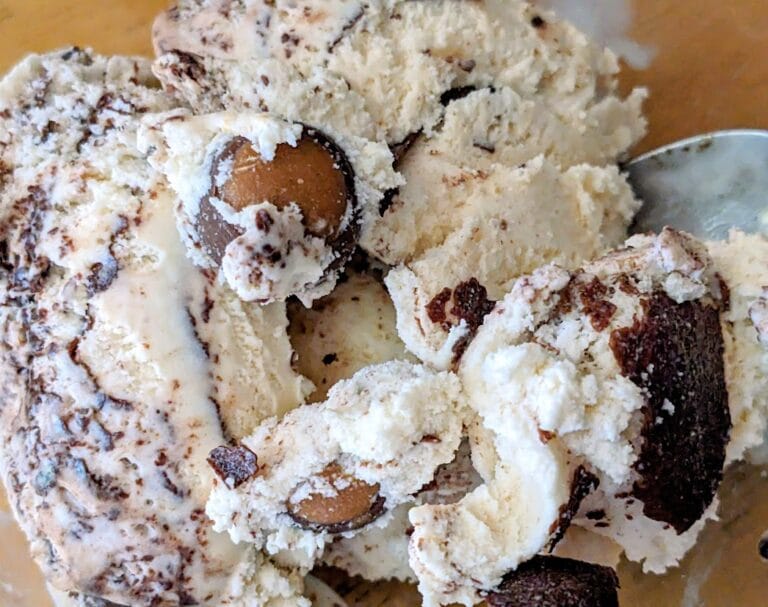 Close up of a scoop of Buckeyes & Fudge Ice Cream from Publix.