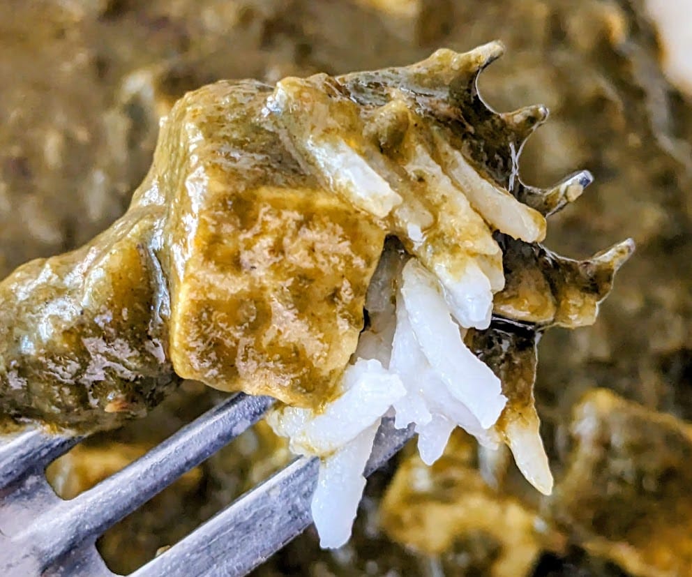A fork holding a bite of palak paneer and basmati rice from an MTR Minute Meal.