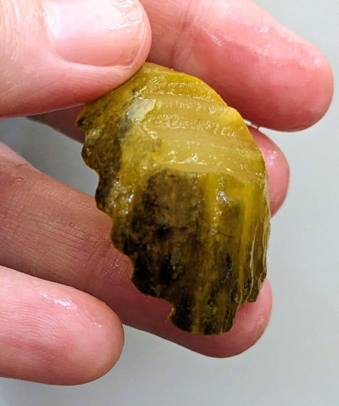 Fingers holding a very thick Bubbies Bread & Butter pickle.