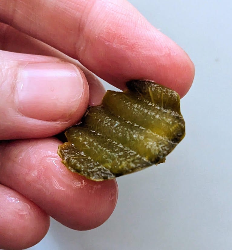 Fingers holding a tiny Bubbies Bread & Butter pickle.