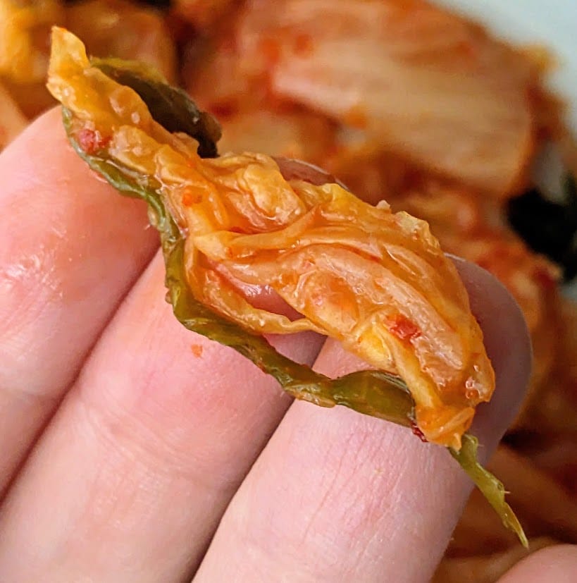 Fingers holding soft pieces of cabbage and onion from Jongga Kimchi.