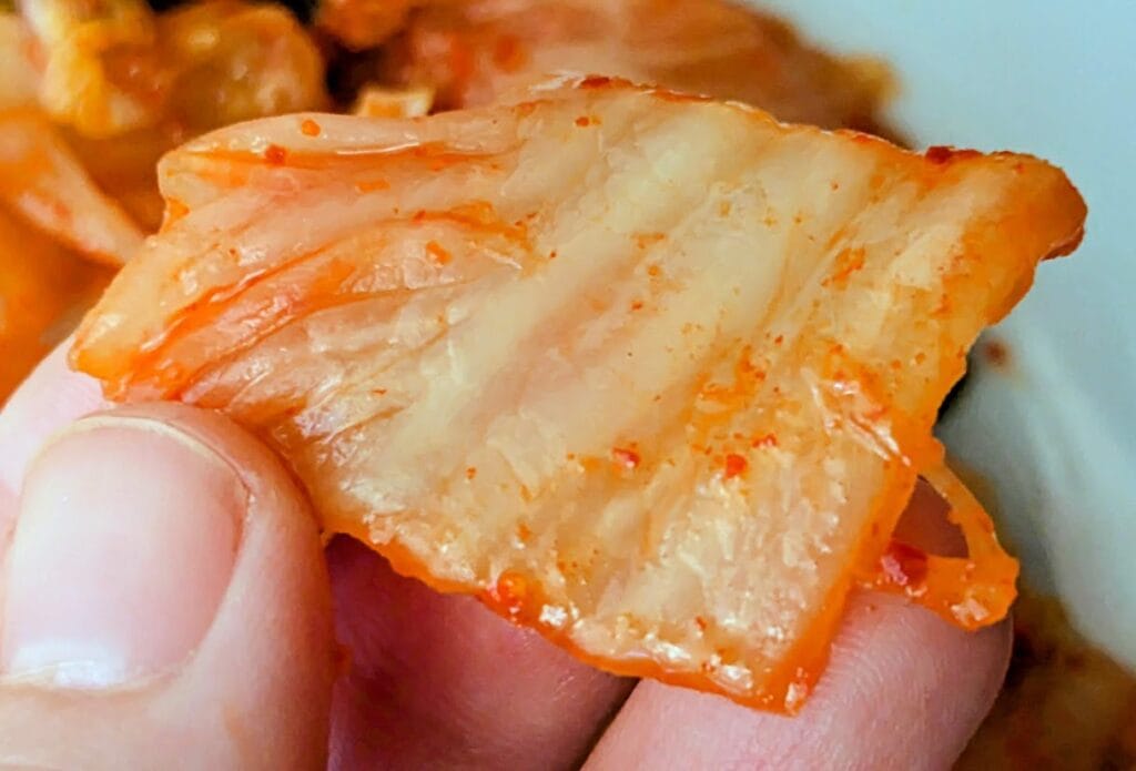 Fingers holding a thick piece of napa cabbage from Jongga Korean Kimchi.