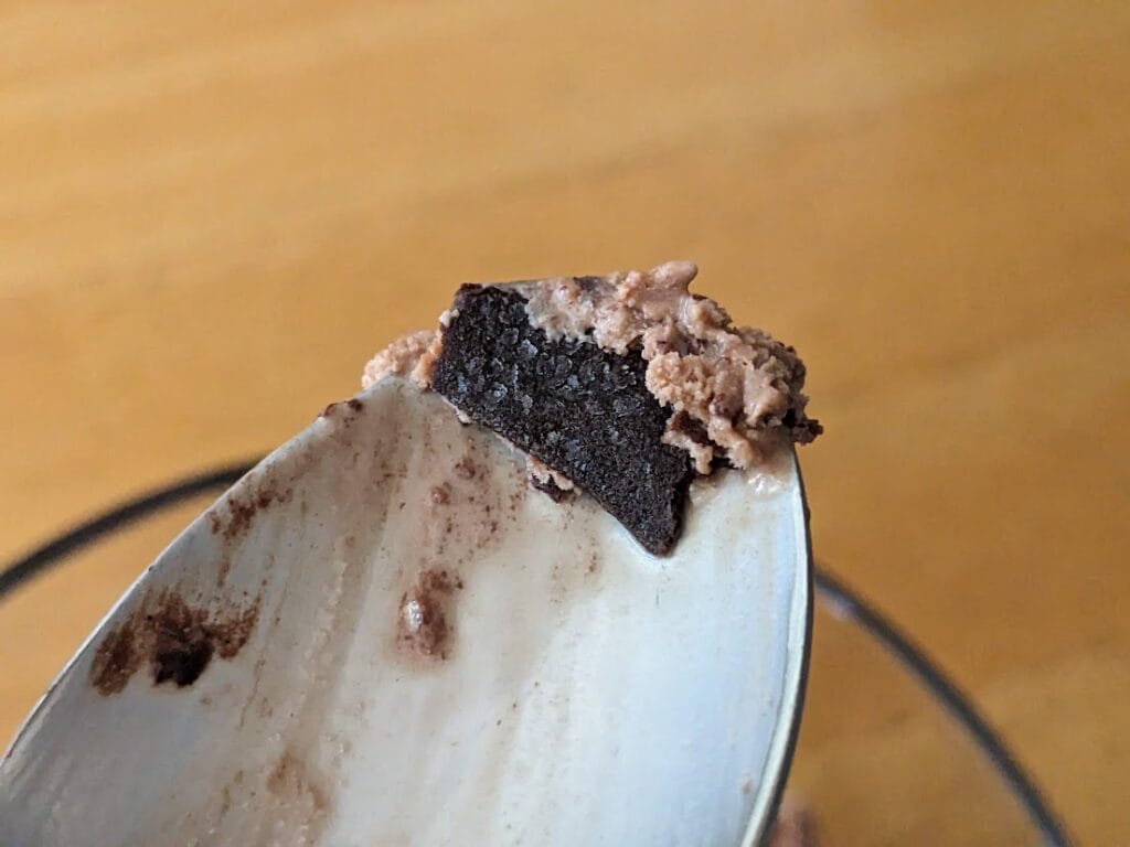 A spoon holding a small fragment of fudge from Publix Moose Tracks Ice Cream.