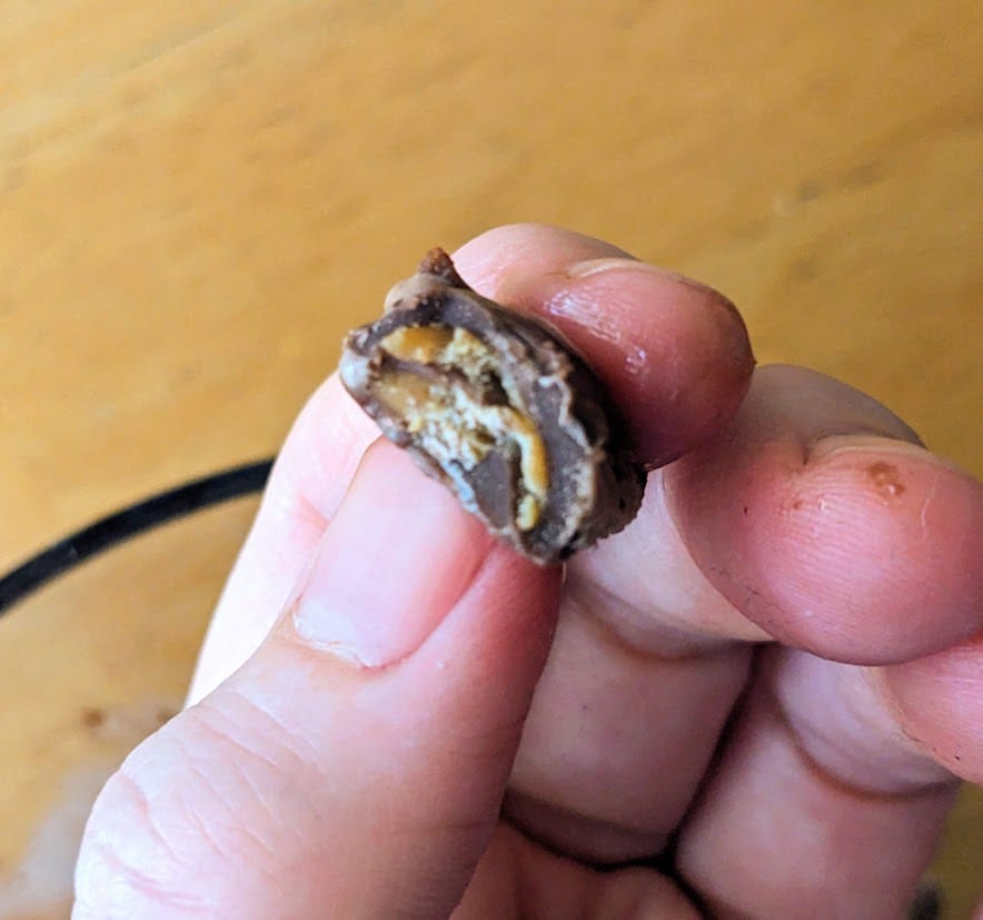Fingers holding a bitten miniature peanut butter cup from Publix Chocolate Moose Tracks Ice Cream.